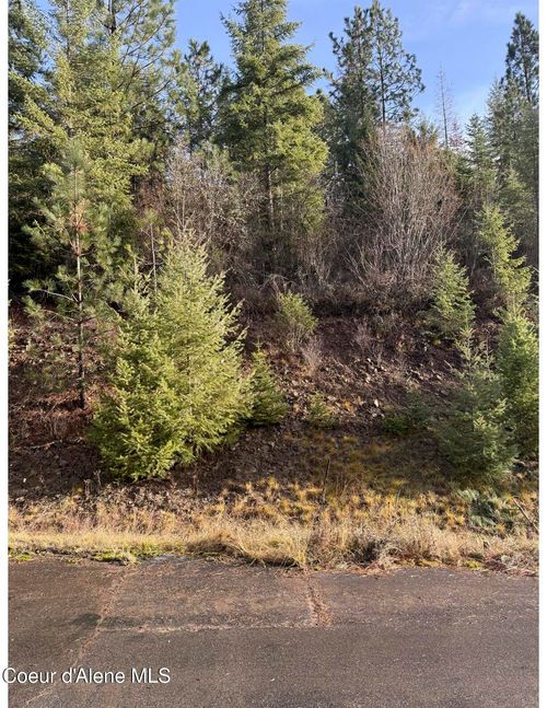  L15b1 Johnson Meadows Estates, Harrison, ID, 83833 | Card Image