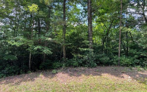 Lot 32 Fires Creek Rd, Hayesville, NC, 28904-7526 | Card Image