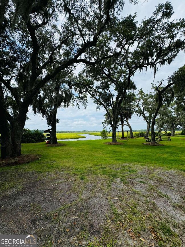 LOT 557 Woodstork Ln, Home with 0 bedrooms, 0 bathrooms and null parking in Townsend GA | Image 6