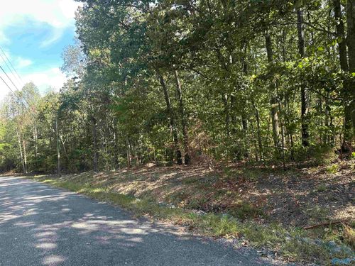 3 acres County Road 1025, Fort Payne, AL, 35967 | Card Image