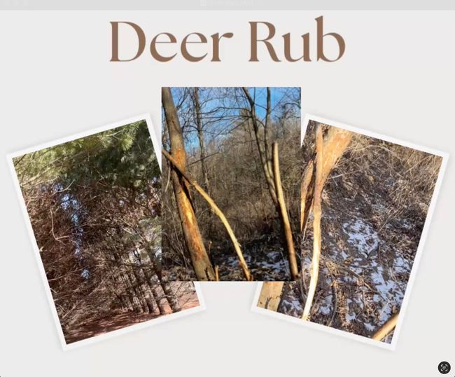 19698 County Road Br, Home with 3 bedrooms, 2 bathrooms and null parking in ROCKBRIDGE WI | Image 7