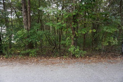 Lot 42 Cannon Ball Loop, Branson, MO, 65616 | Card Image