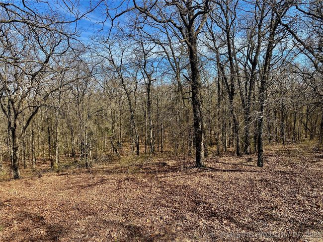 2 State Highway 76, Home with 0 bedrooms, 0 bathrooms and null parking in Wilson OK | Image 14