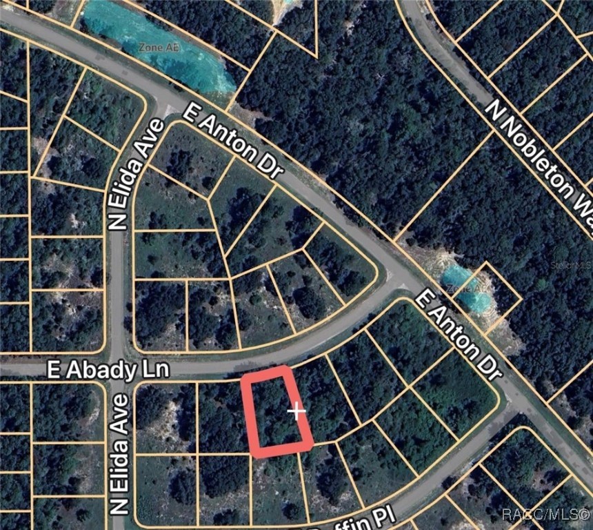 Land in Dunnellon 5