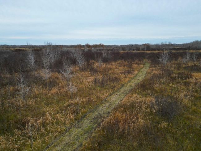DJI_0370.JPG | Image 16