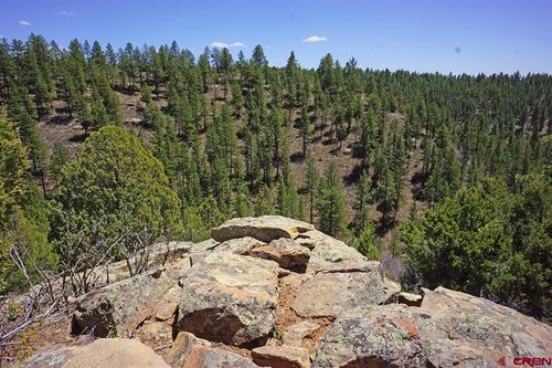 6 TBD Road T.7, Mancos, CO, 81328 | Card Image