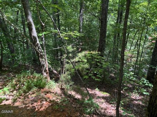 1302 Balsam Cir, Sevierville, TN, 37876 | Card Image