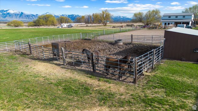 View of grassy yard featuring a view of rural / pastoral area, a mountain view, ( corral panels excluded) | Image 41