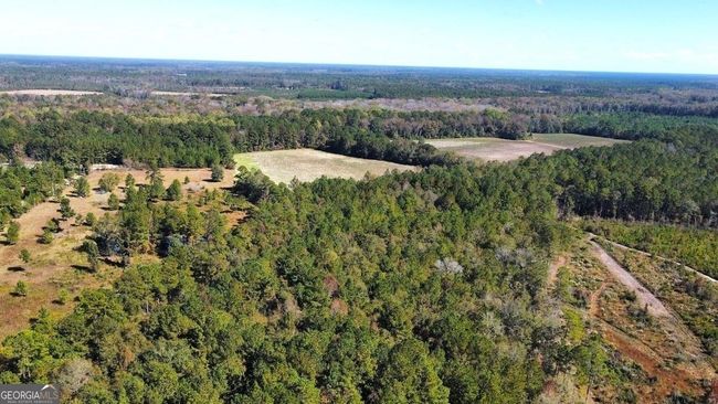 268-ACRES - 99 Old Happy Ln, Home with 0 bedrooms, 0 bathrooms and null parking in Brooklet GA | Image 25