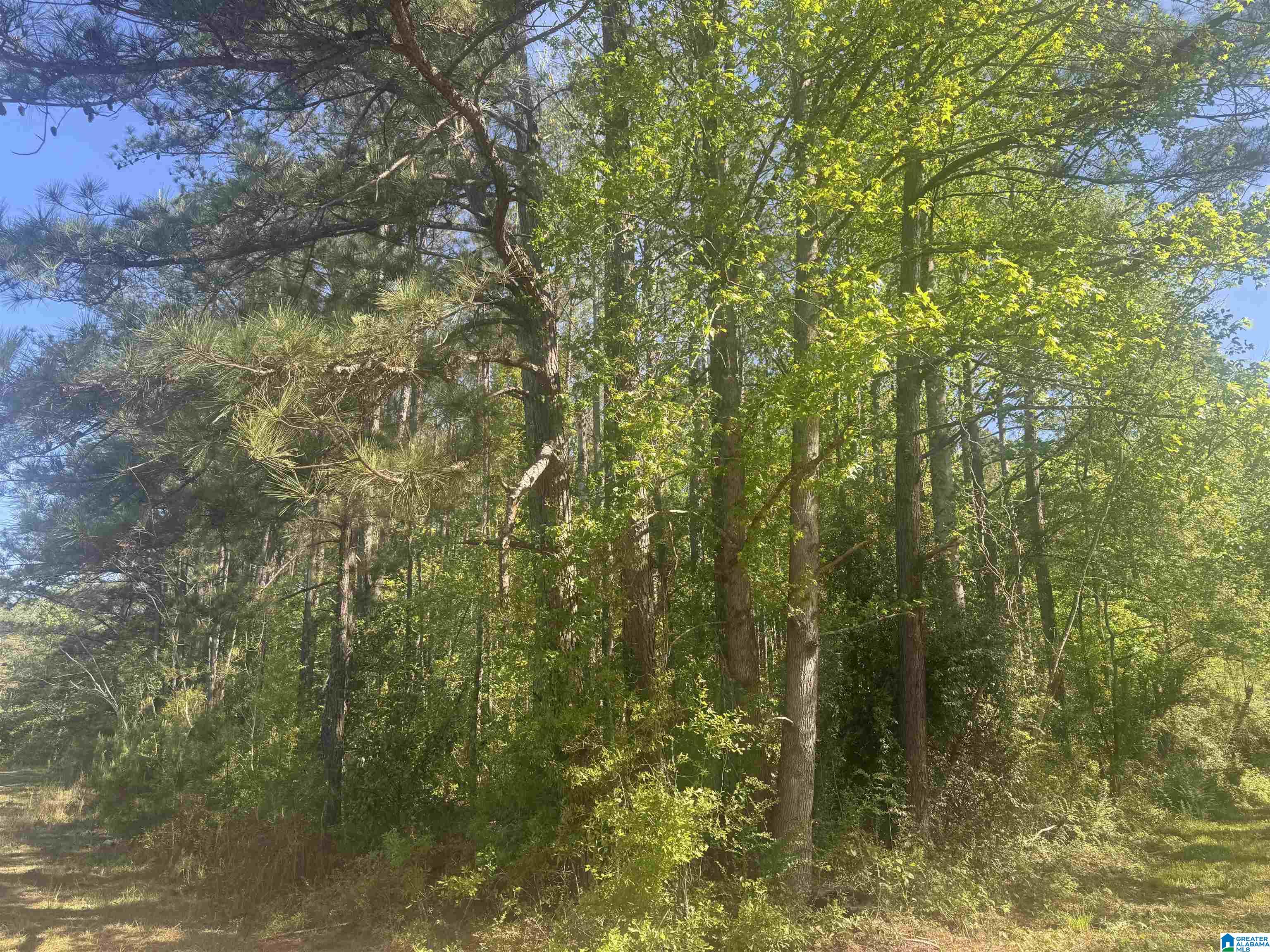 Land in ROANOKE 3