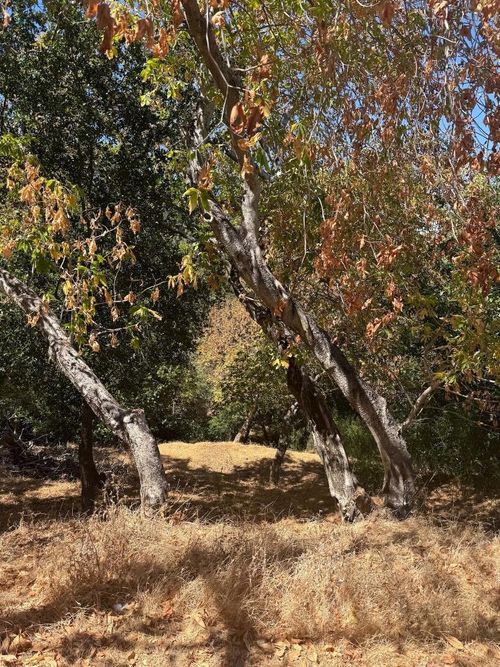 0 Palomar Dr, Redwood City, CA, 94062 | Card Image