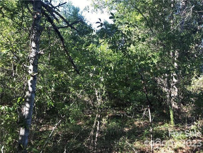 1750 Highway 1 N, Home with 0 bedrooms, 0 bathrooms and null parking in Cassatt SC | Image 4