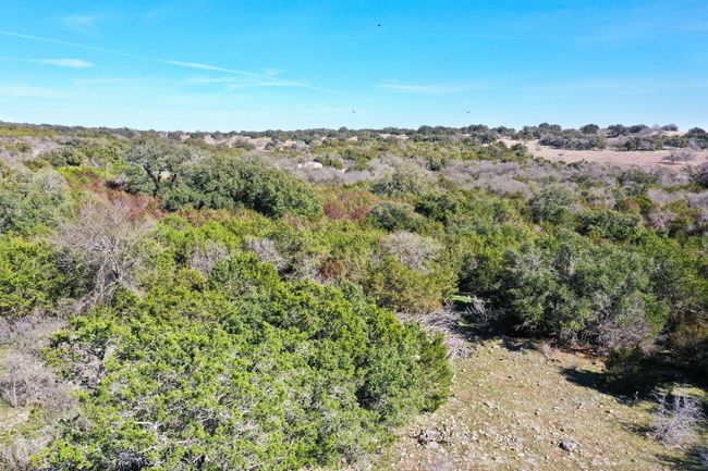 View of wooded area | Image 14