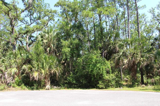 1 Hobbs Way, Home with 0 bedrooms, 0 bathrooms and null parking in ST MARKS FL | Image 10
