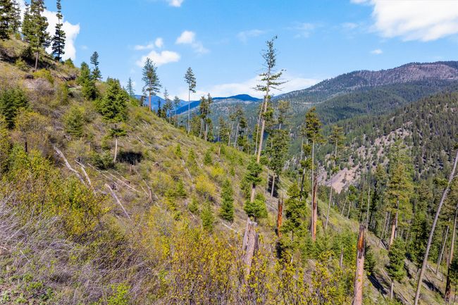 25575 Patter Spur Rd, Home with 0 bedrooms, 0 bathrooms and null parking in Clinton MT | Image 24
