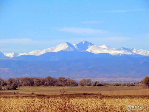 15303 Ypsilon Cir, Mead, CO, 80542-8821 | Card Image