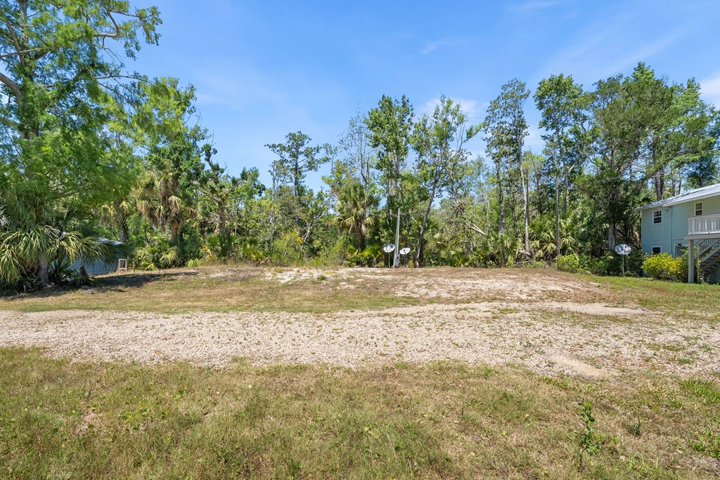 Land in Steinhatchee 5
