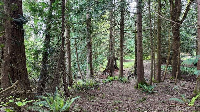 7493 State Route 9, House other with 3 bedrooms, 3 bathrooms and 2 parking in Sedro Woolley WA | Image 33