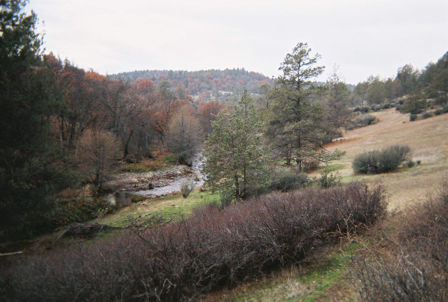 Land in Hornbrook 4