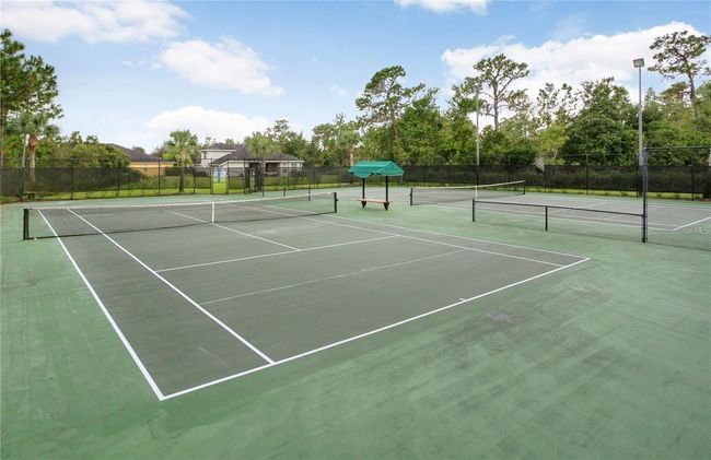20209 Merry Oak Ave, House other with 6 bedrooms, 3 bathrooms and null parking in TAMPA FL | Image 39