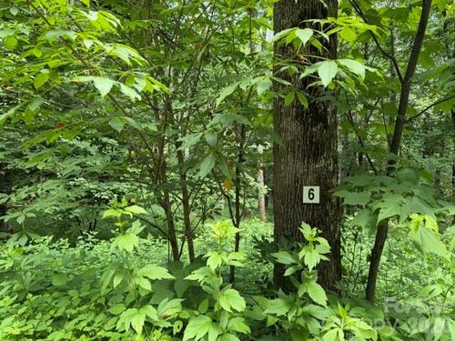 6-Lot 6 Gadohi Trail, Maggie Valley, NC, 28751 | Card Image