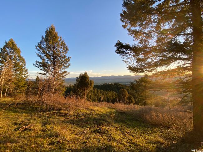 View of nature | Image 24
