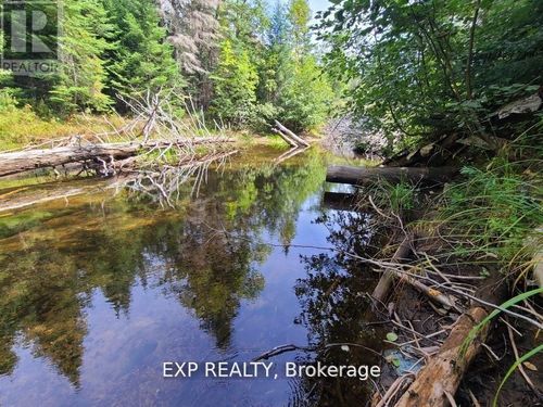 Pt Lt 8 Old Barry'S Bay Rd, Madawaska Valley, ON, K0J1B0 | Card Image