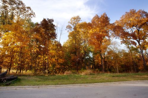 3865 166th Ln, Lowell, IN, 46356-7174 | Card Image