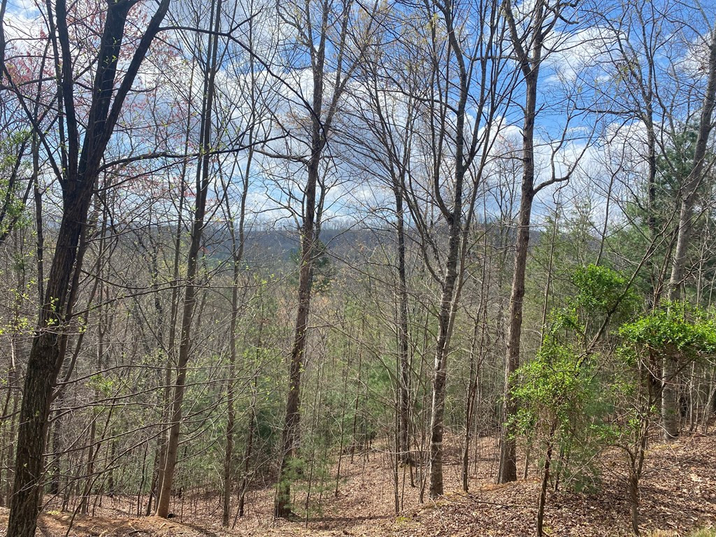 Land in Murphy