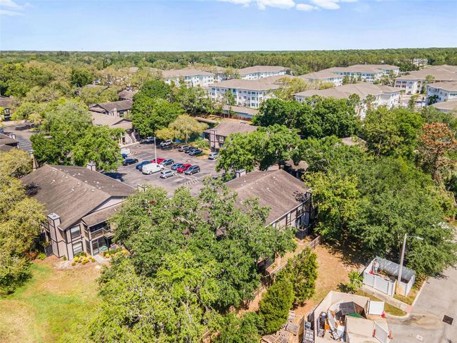 APT-101 - 4035 Angel Oak Ct, Condo with 2 bedrooms, 2 bathrooms and null parking in TAMPA FL | Image 40
