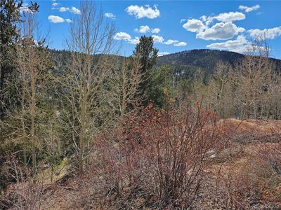 Highway 67, Home with 0 bedrooms, 0 bathrooms and null parking in Divide CO | Image 3