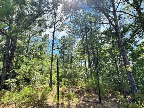 410 Firetower Rd, Cusseta, GA, 31805-4208 | Card Image