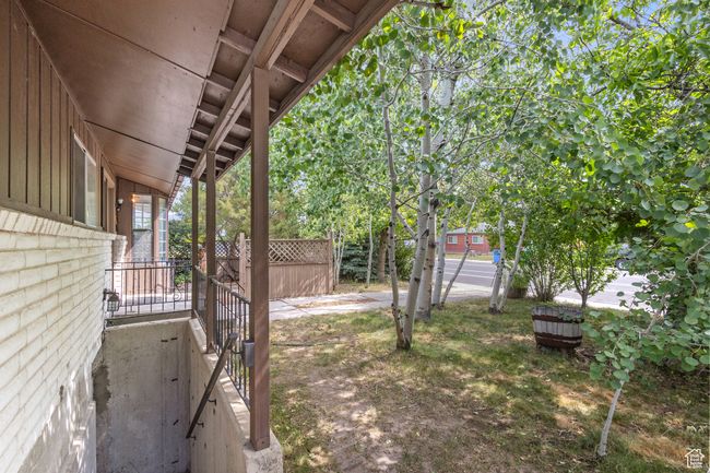 View of front yard and basement entrance | Image 4