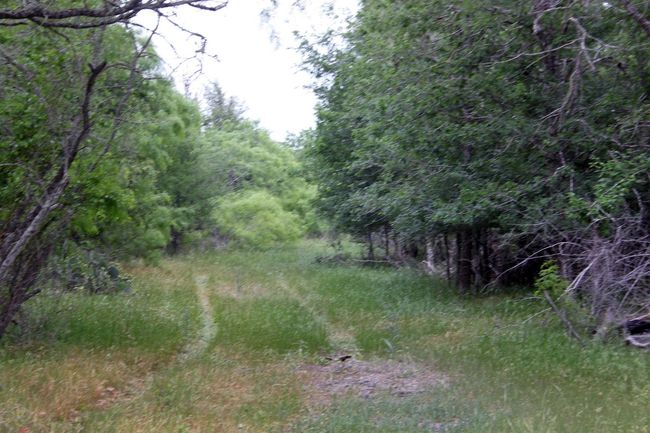 View of nature with a view of trees | Image 11
