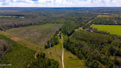 3253 Uncle Joes Lane, Home with 0 bedrooms, 0 bathrooms and null parking in Alford FL | Image 3