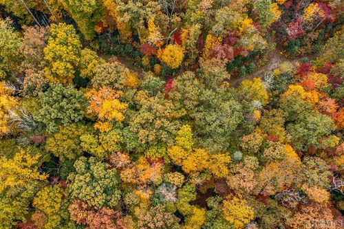 149 Shady Spring Drive, Glenville, NC, 28736 | Card Image