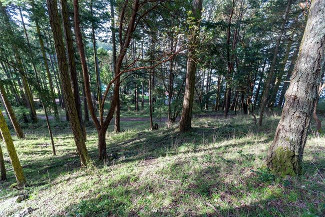 0 Afterglow Dr, Home with 0 bedrooms, 0 bathrooms and null parking in Friday Harbor WA | Image 16