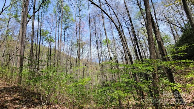 27 - 27 Lacy Fern Rdg, Home with 0 bedrooms, 0 bathrooms and null parking in Sylva NC | Image 14