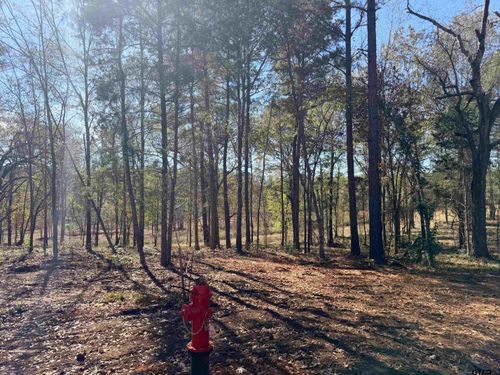 10719 Portside Circle, Tyler, TX, 75708 | Card Image