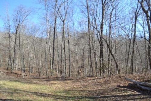 10.85ac Cheyenne Dr, Jamestown, TN, 38556 | Card Image