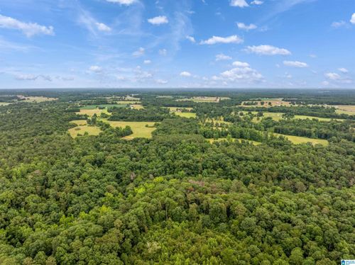 0-0 County Road 605, Section, AL, 35771 | Card Image