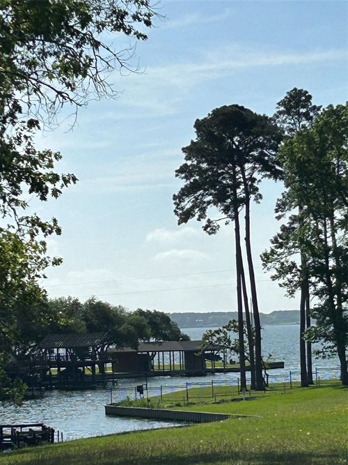 TBD Knottypine Rd, Livingston, TX, 77351 | Card Image