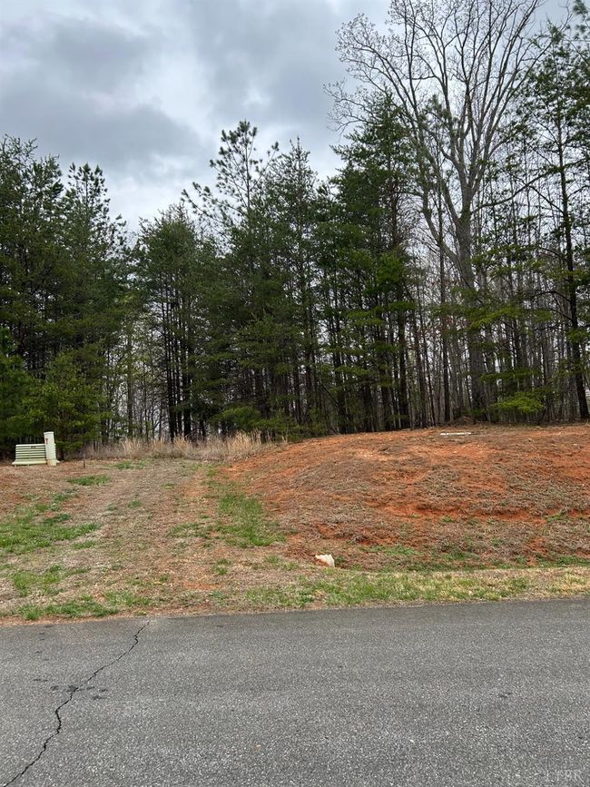 107 Runaway Bay Rd, Home with 0 bedrooms, 0 bathrooms and null parking in Lynch Station VA | Image 5