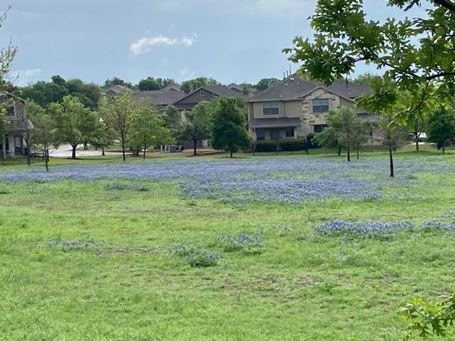 View of surrounding community | Image 22
