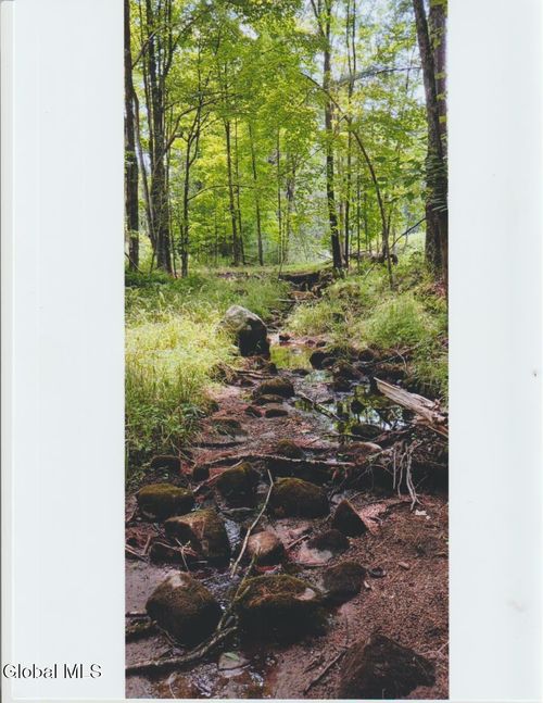 1260 Valentine Pond Rd, Adirondack, NY, 12808-1713 | Card Image