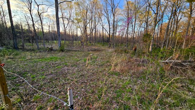 0 E Crothersville Rd, Home with 0 bedrooms, 0 bathrooms and null parking in Austin IN | Image 19