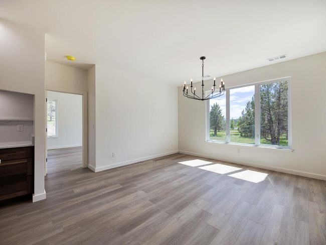 1168 Paper Birch-21 | Image 21