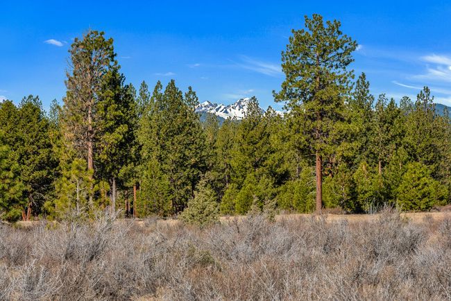 OReilly_20240402_7_295827_a_72ppi | Image 6