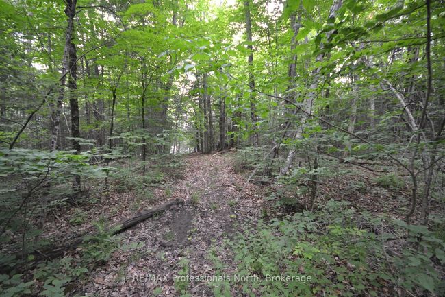 0 Harburn Rd, Home with 0 bedrooms, 0 bathrooms and null parking in Haliburton ON | Image 18