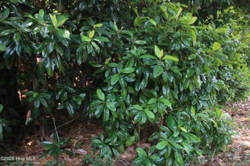 Lot 20 Grant Drive, Goldsboro, NC, 27534 | Card Image